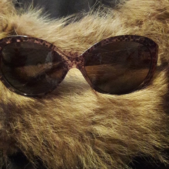 SunGlazzes - Picture 1 of 4